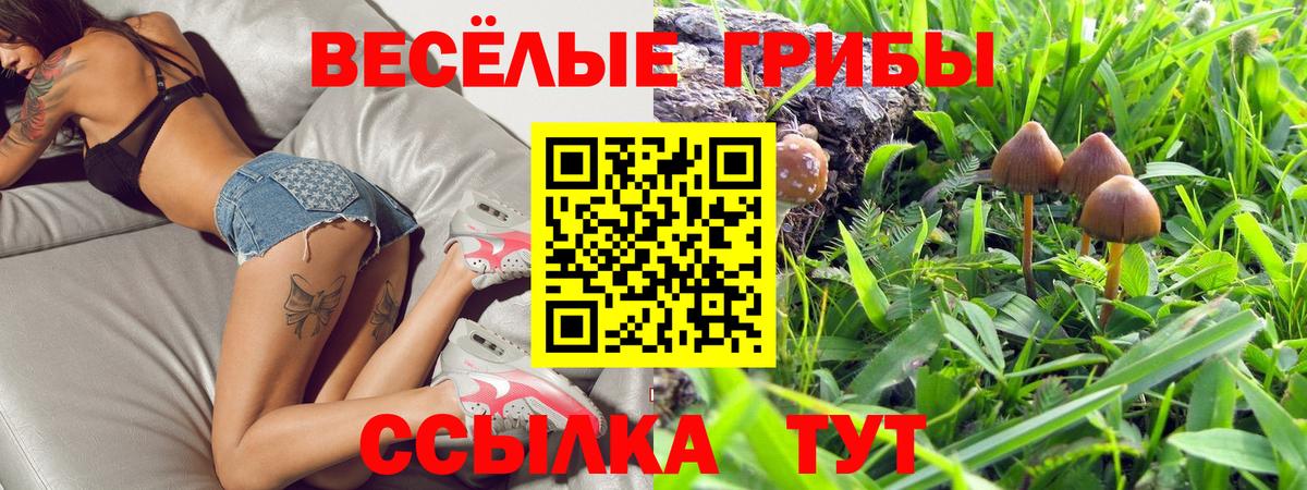Псилоцибиновые грибы Psilocybe Вольск